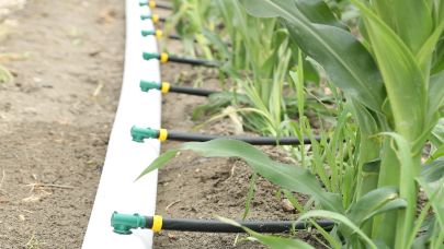 PepsiCo Türkiye “Net Su Pozitif” ...