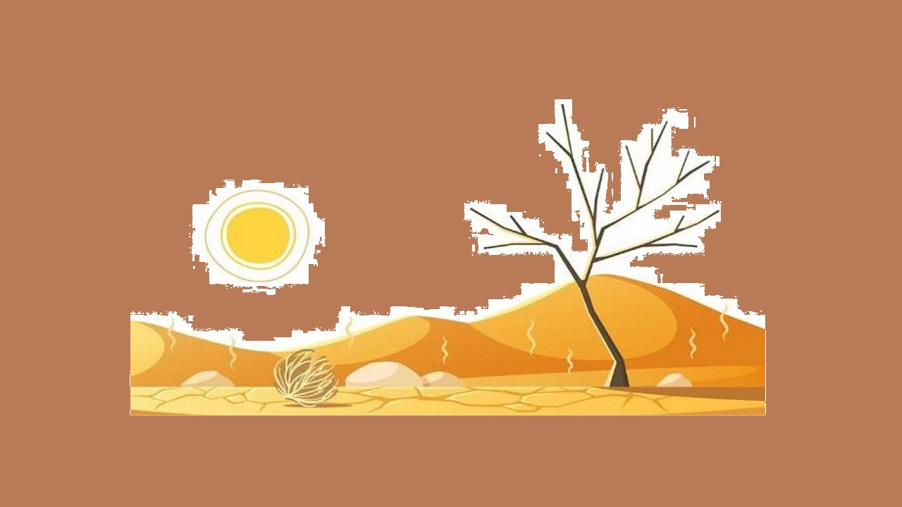 Kadınlar İKLİM krizine daha hassas - İstinye Üniversitesi...