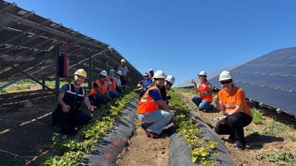 Enerjisa GÜNEŞ panellerinin altında yetiştirdi!