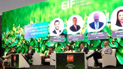 Karbon Piyasaları ile ilgili önemli açıklamalar!