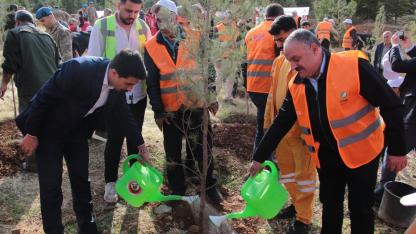 DEPSAŞ Enerji “3 Bin Fidan” yeşil dokunuş