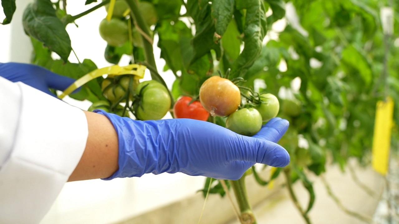 Enerji Bakanlığı &#039;Gıda Güvenliğine ‘TENMAK’ Dokunuşu&#039;
