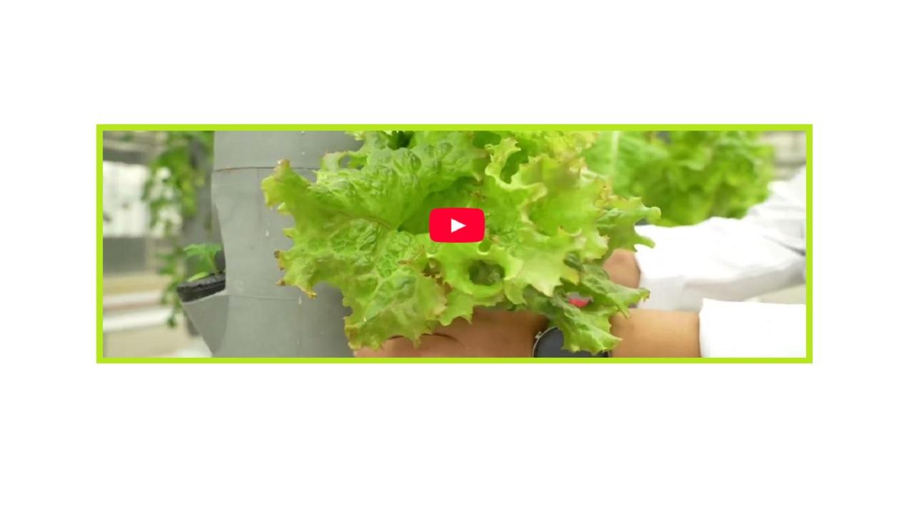 Enerji TV - Enerji Bakanlığı 'YENİ bitki ve gıda çeşitleri'