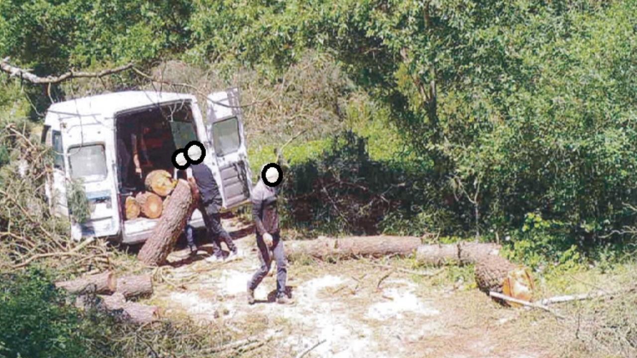 OGM “Kaçak kesimlere 24 saat takip”