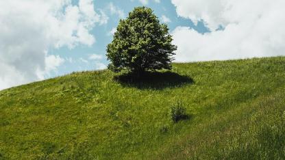 Yenilenebilir Enerji ve Enerji Dönüşümü hayata geçirecek!