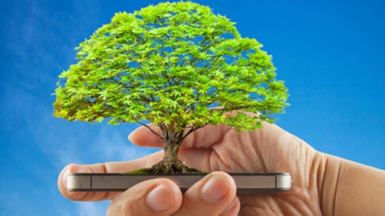 Zorlu Enerji - Dijital abonelikle 11 ayda 295 ağaç kurtarıldı