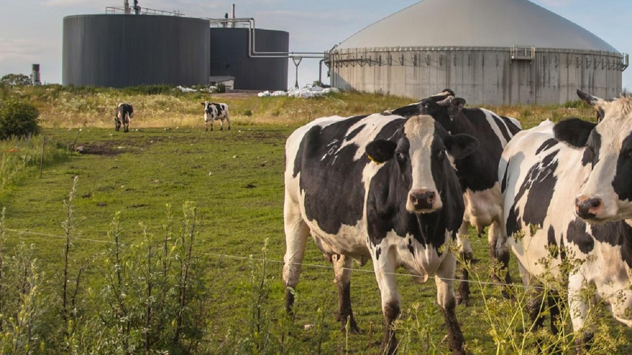 Biyogaz ve biyometan enerji ÖNEMLİ rol oynayabilir!