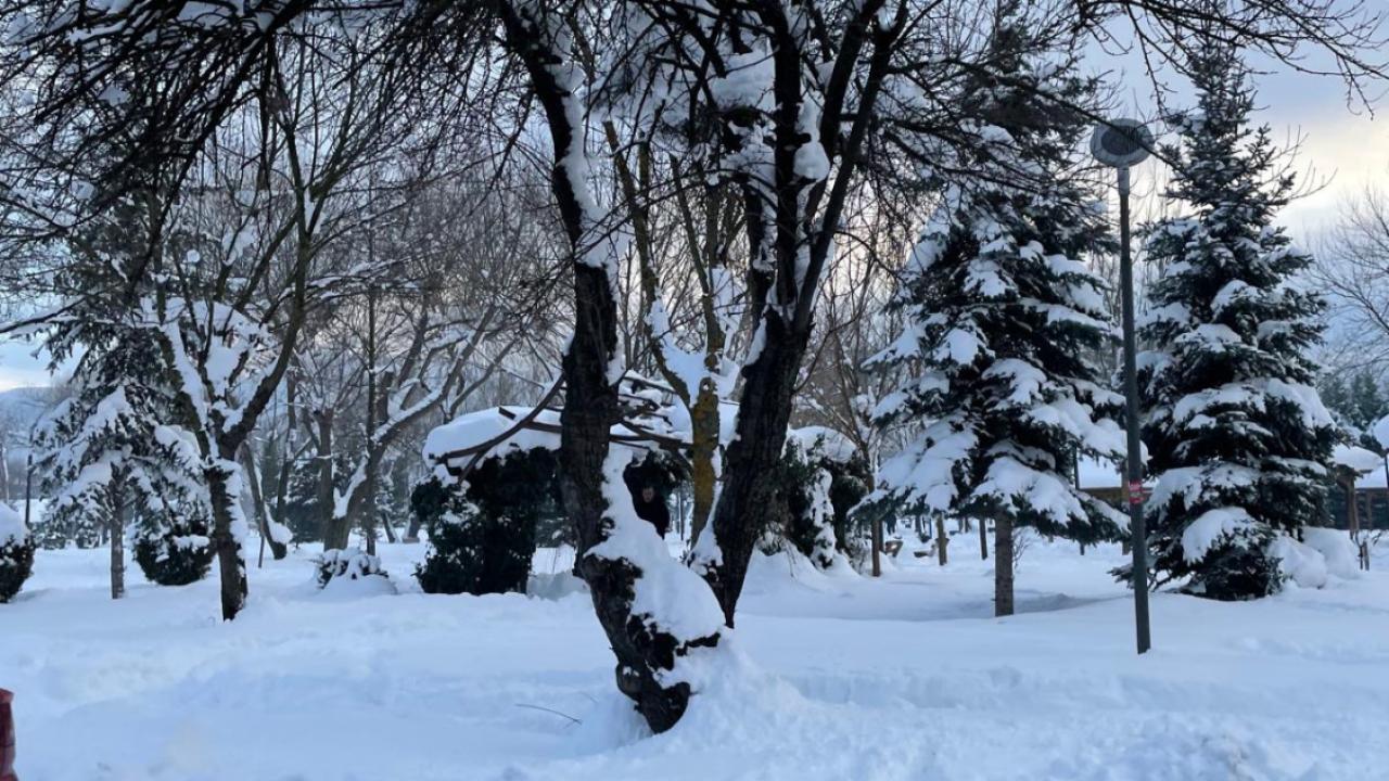 En düşük sıcaklık 'En soğuk yer'