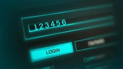 Hala devam ediyor “Genç, yaşlı ortak ŞİFRE 123456”