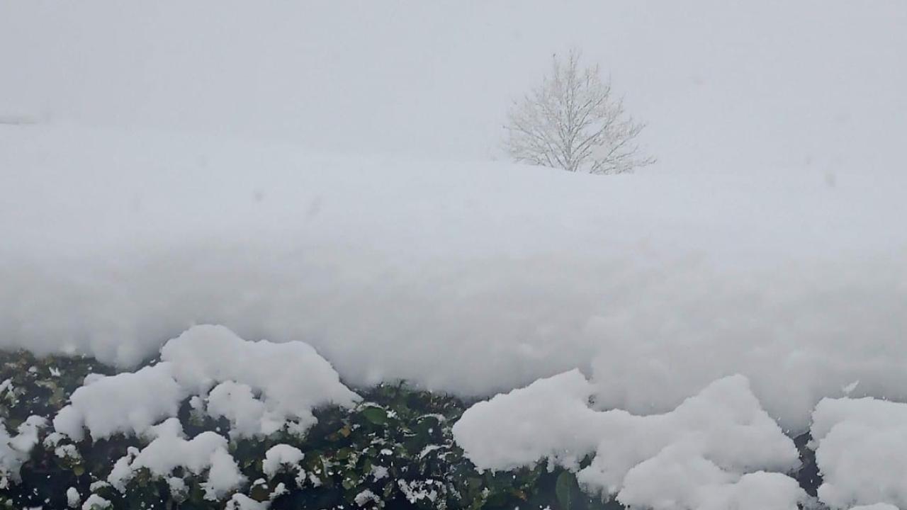 Meteoroloji verilerine göre en soğuk Van '- 32,8 derece'