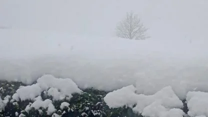 Meteoroloji verilerine göre en SOĞUK il Van '- 32,8  derece'