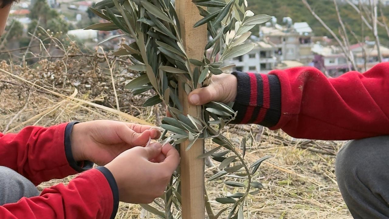 “Okul Bahçeleri Zeytin Bahçeleri Olsun Projesi” ilk fidan Hatay'a!