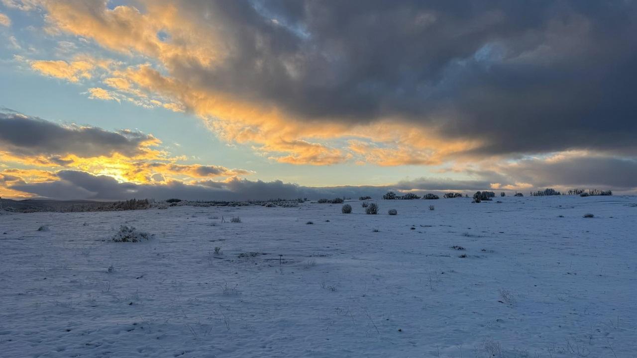 Sabancı Holding şirketi 'KENDİ isteğiyle MADEN sahasını terk ediyor'