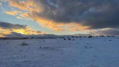 Sabancı şirketi 'KENDİ isteğiyle MADEN sahasını terk ediyor'