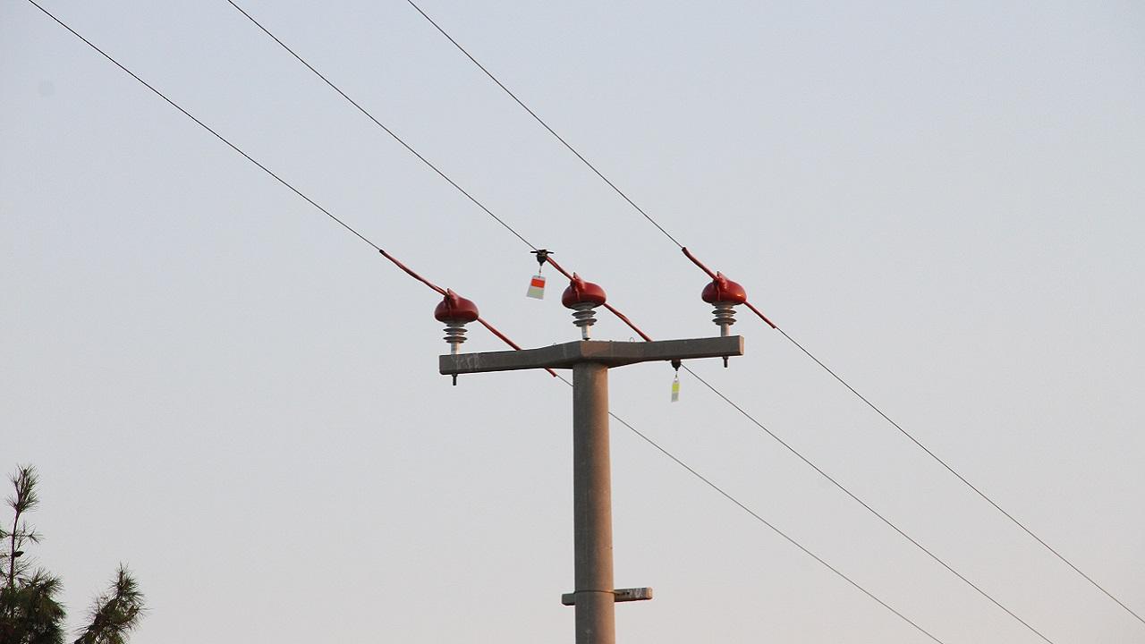 YENİ çalışma 'Kuşları GÖÇ Yolculuğunda ELEKTRİK çarpmayacak'