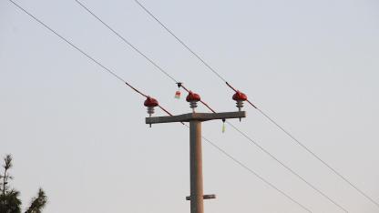 'Kuşları GÖÇ Yolculuğunda ELEKTRİK çarpmayacak' YENİ çalışma