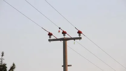 'Kuşları GÖÇ Yolculuğunda ELEKTRİK çarpmayacak' YENİ çalışma