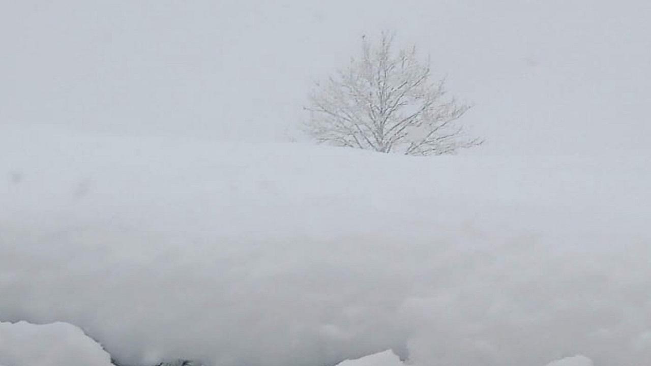 YENİ 'Ölçülen en yüksek KAR kalınlıkları' Erzurum 2,01 metre