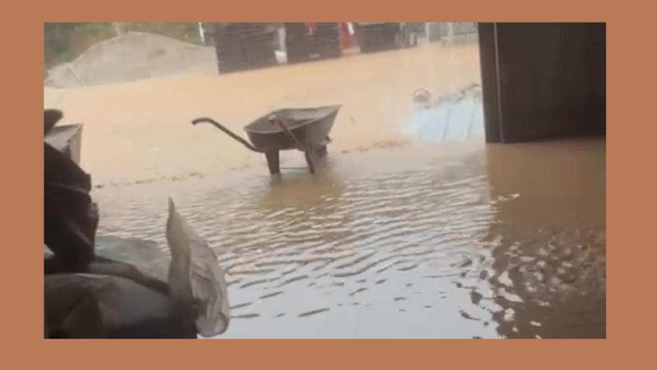 Barajlara gelen su miktarı 'Artış yüzde 414'