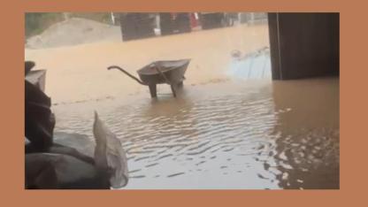 Barajlara gelen su miktarı 'Artış yüzde 414'