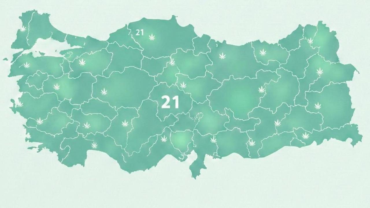 Karbon Vergisine Kenevir Üretimi Kalkanı