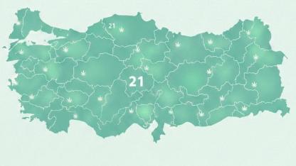 Karbon Vergisine Kenevir Üretimi Kalkanı