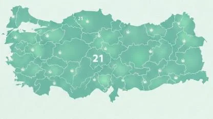 Karbon Vergisine Kenevir Üretimi Kalkanı