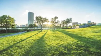 Legrand Türkiye 'Enerji Verimliliği Odaklı Akıllı Çözümler'