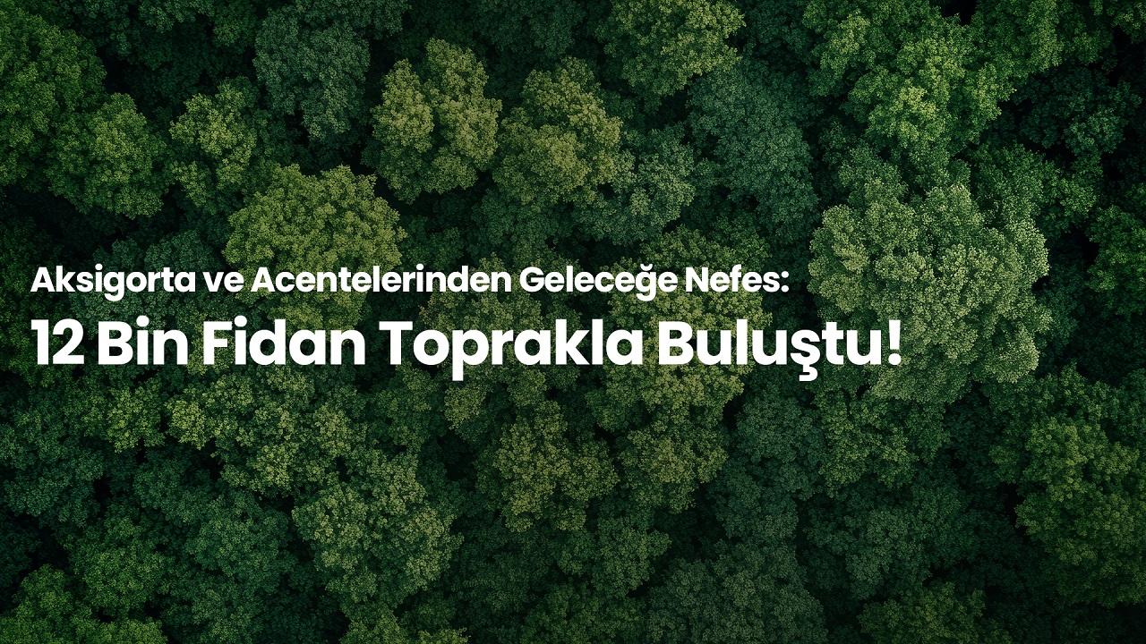 12 Bin Fidanı Toprakla Buluşturdu!