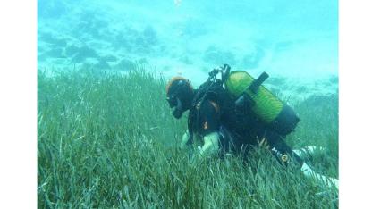 Deniz Çayırlarına Mavi Nefes ''Garanti BBVA ve TURMEPA’dan''