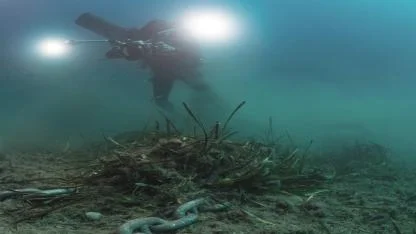 WWF Türkiye 'Binlerce Gemi Deniz Çayırlarını Tahrip Ediyor'