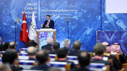 Kritik Mineraller 'Detaylı bir yol haritası belirliyoruz'