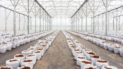 Seralar YAĞMUR Hasadı Su Kaynakları için Baskıyı Azaltıyor!