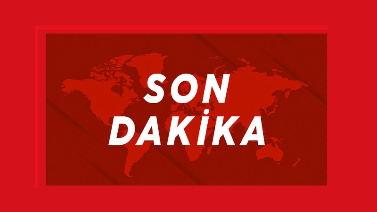 Hantavirüs nedir? Hantavirüs Türkiye'de görüldü mü?
