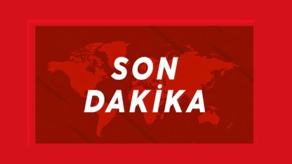 Hantavirüs nedir?  Hantavirüs Türkiye'de görüldü mü?