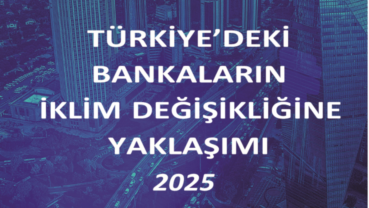 Rapor “Türkiye'de Bankaların İKLİM Taahhütleri …”