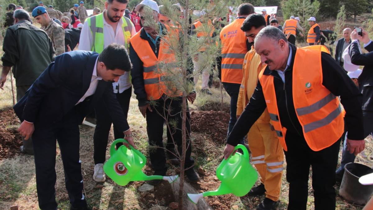 DEPSAŞ Enerji “3 Bin Fidan” yeşil dokunuş