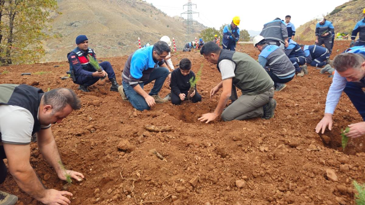 Eti Bakır’dan ağaçlandırma seferberliği