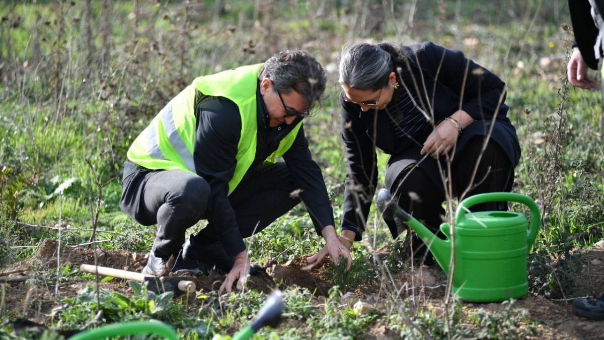 MOSFED ''Türkiye’nin 7 bölgesinde orman kuruyor''
