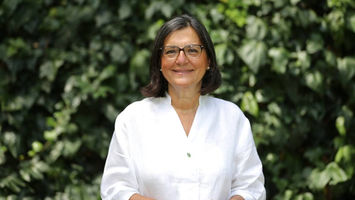 TEMA Vakfı: COP30 çözüm değil, erteleme üretti