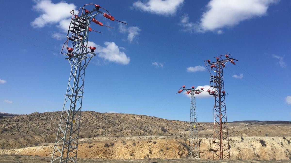 YENİ çalışma 'Kuşları GÖÇ Yolculuğunda ELEKTRİK çarpmayacak'