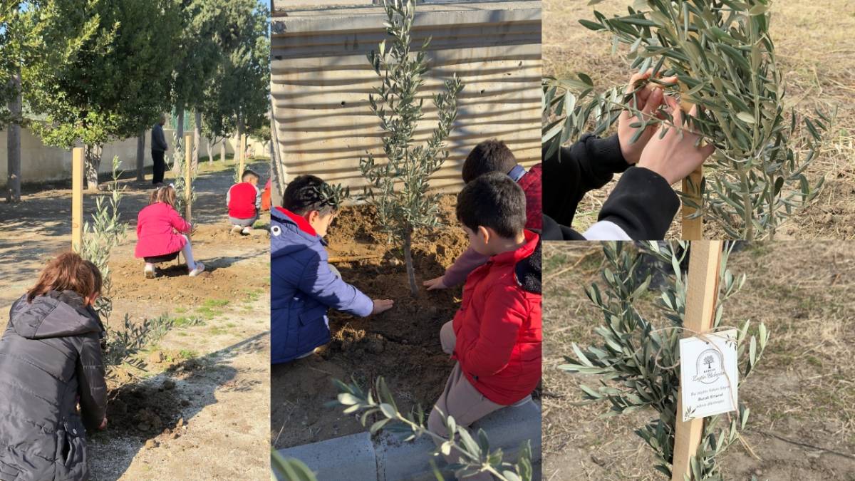 “Okul Bahçeleri Zeytin Bahçeleri Olsun Projesi” ilk fidan Hatay'a!