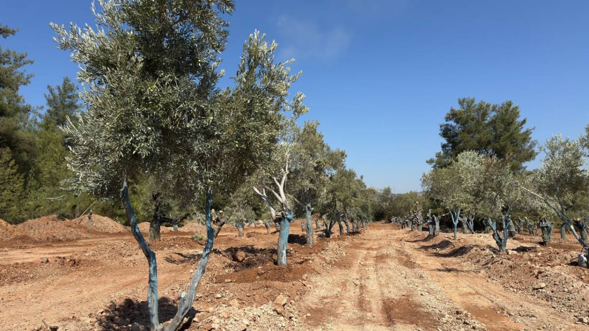 Enerji arz güvenliği için 