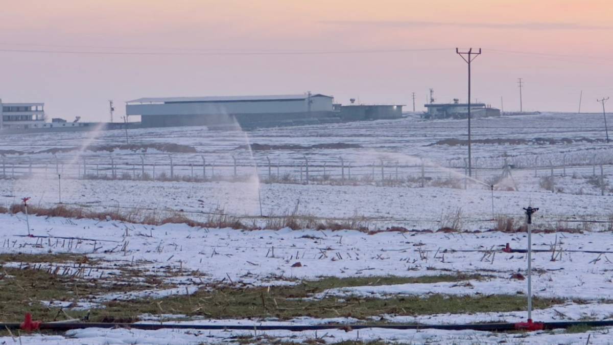 Karla kaplı arazide KAÇAK elektrikle sulama!