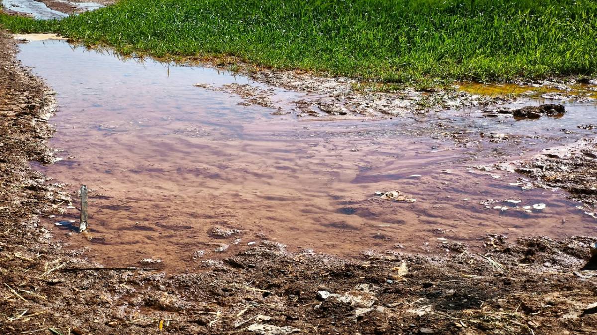 Bu ilde elektriğin YARISI kaçak tüketiliyor!