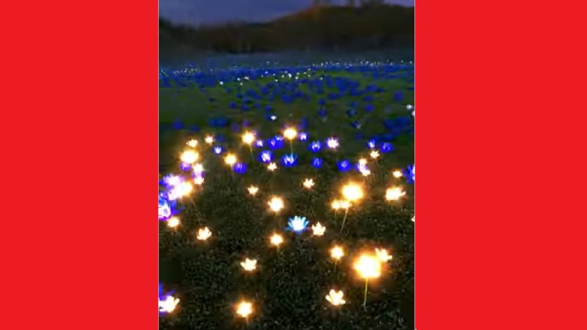 Nükleer santralin 1 reaktörü 80 milyon ampul yakabilir