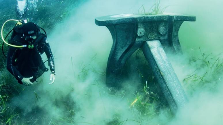 WWF Türkiye 'Binlerce Gemi Deniz Çayırlarını Tahrip Ediyor'