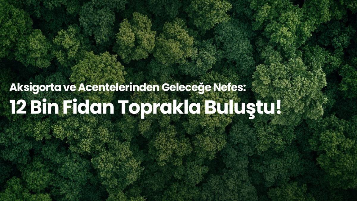 12 Bin Fidanı Toprakla Buluşturdu!