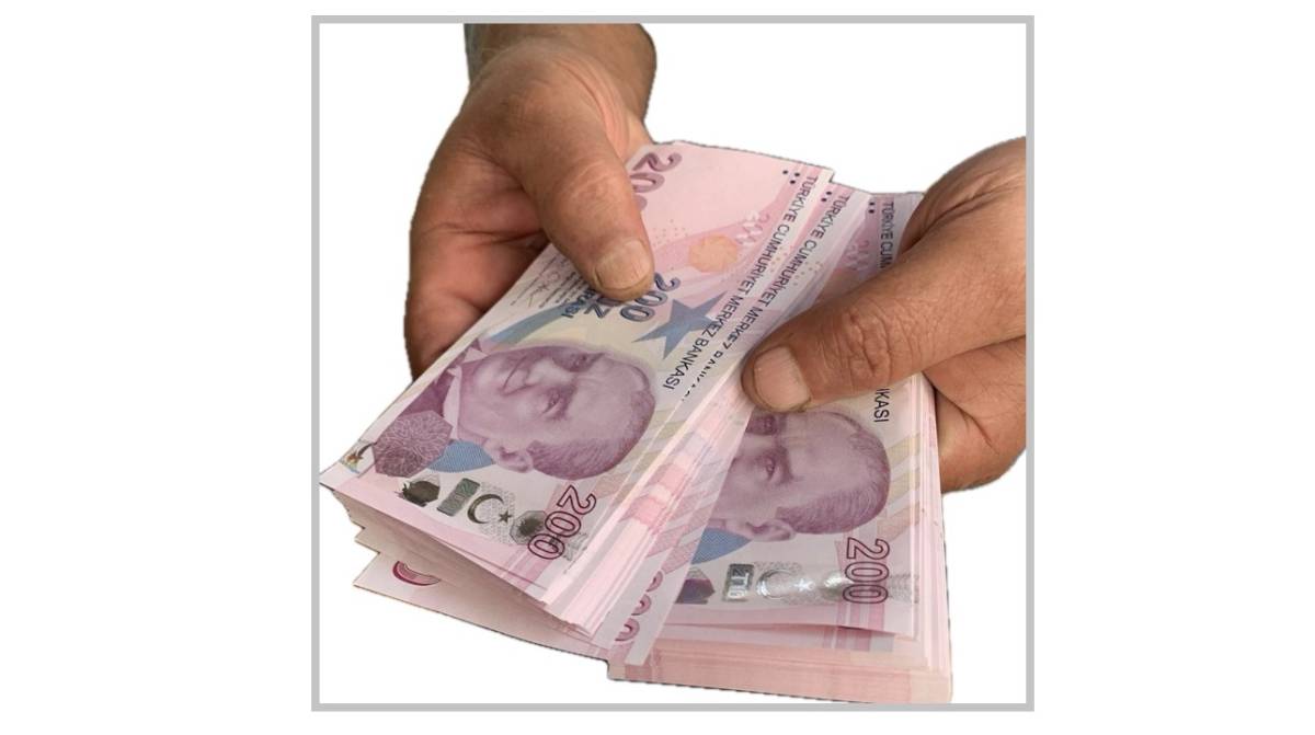 GİB 'Genç Girişimcilere VERGİ ve SİGORTA Prim Teşviki Broşürü' yayınladı