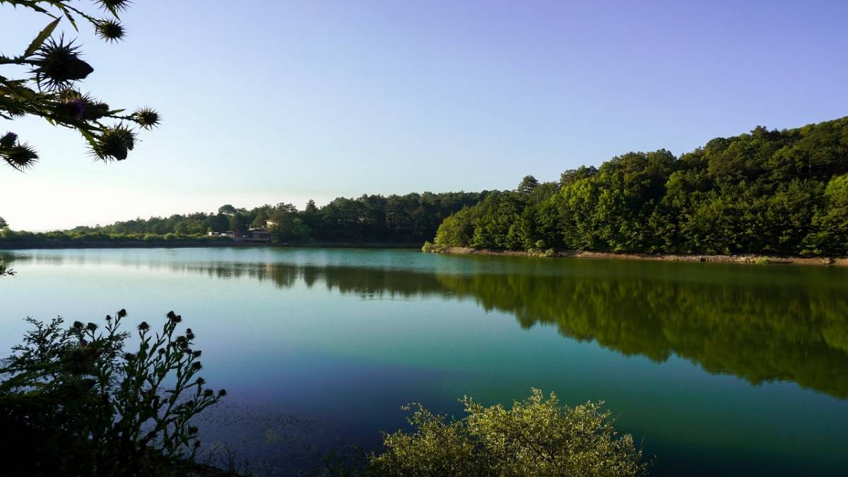 TEMA Vakfı 'Biliyorsun, Sorumlusun' Su ve Orman!